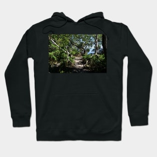 Mangroves on Water Hoodie